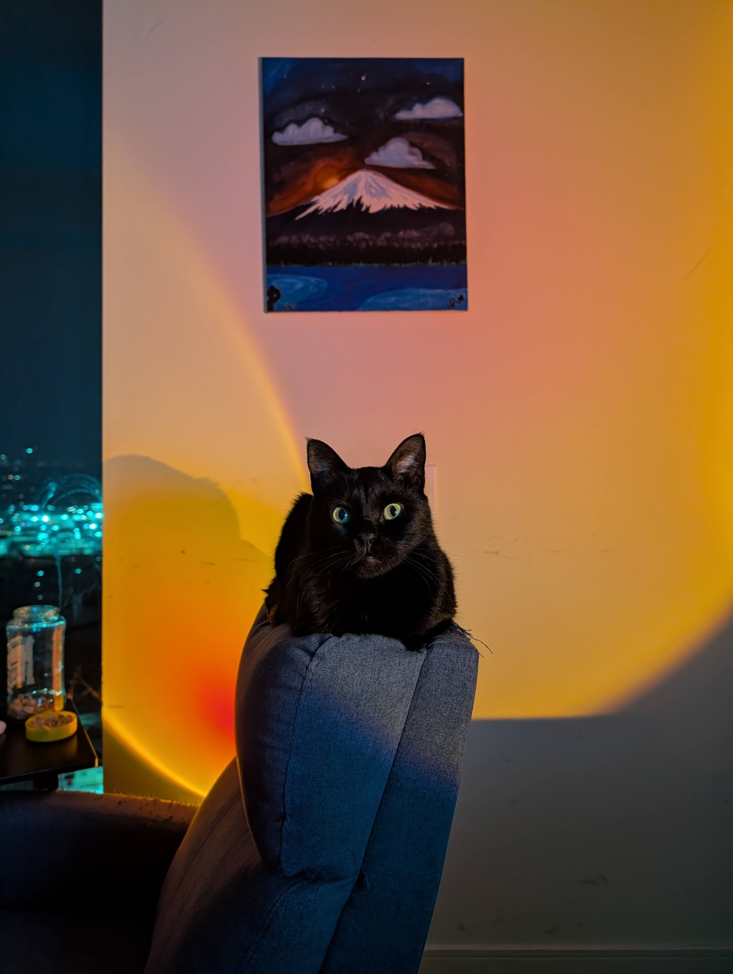 Nero perched on a chair in warm orange sunset lamp light